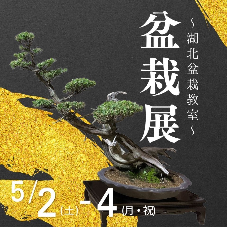 5/2-4盆栽展~湖北盆栽教室~