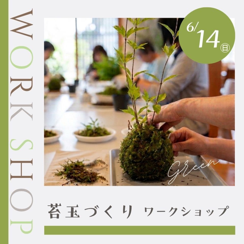 【満席】6/14|苔玉づくりワークショップ